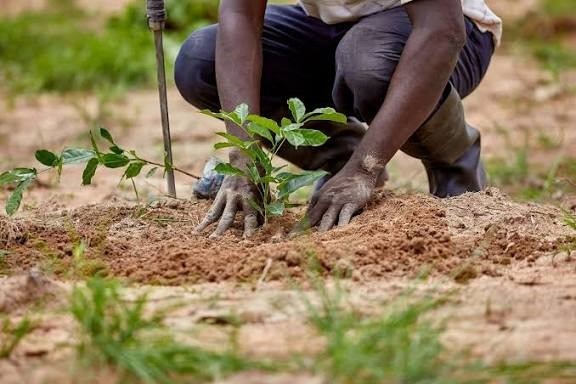 Rights & Environment - Tree Plantation and Climate Action Awareness